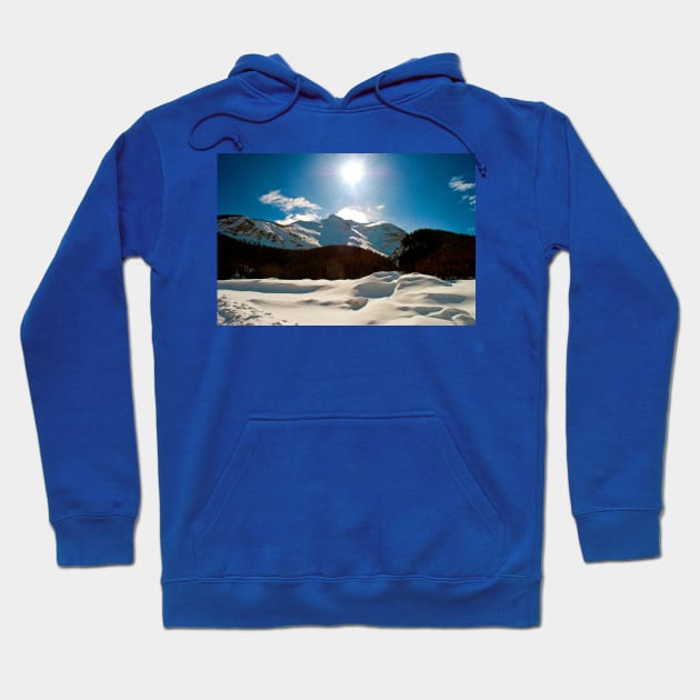 Canadian Rocky Mountains Icefields Parkway Canada Hoodie by AndyEvansPhotos